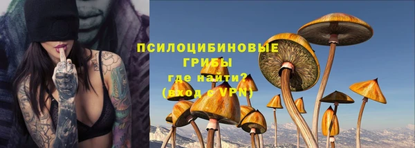 Альфа ПВП Пестово