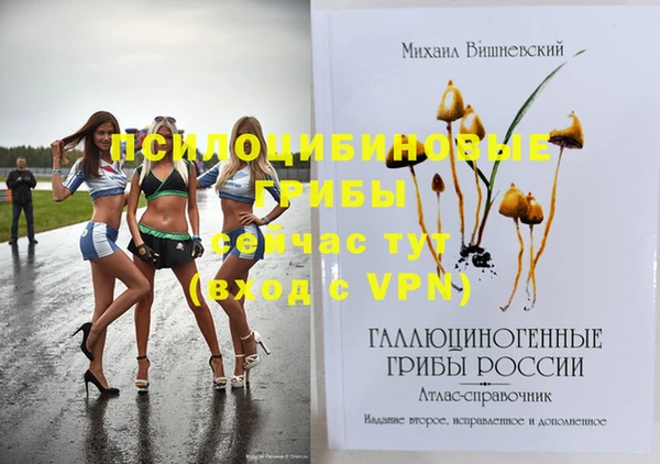 Альфа ПВП Пестово