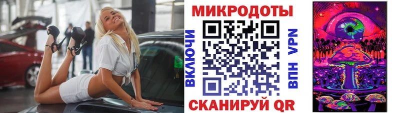 где купить   Партизанск  Псилоцибиновые грибы Psilocybine cubensis 