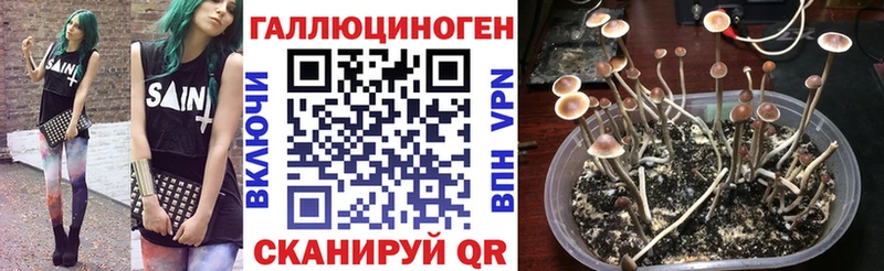 Галлюциногенные грибы мицелий Партизанск