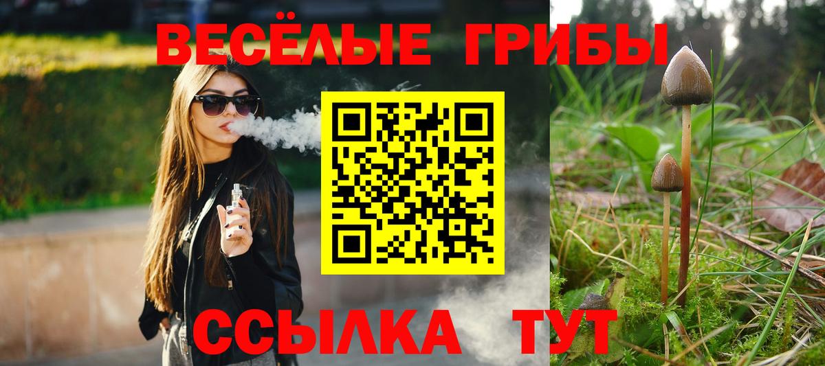 Галлюциногенные грибы Psilocybine cubensis  Вход с VPN  Партизанск 