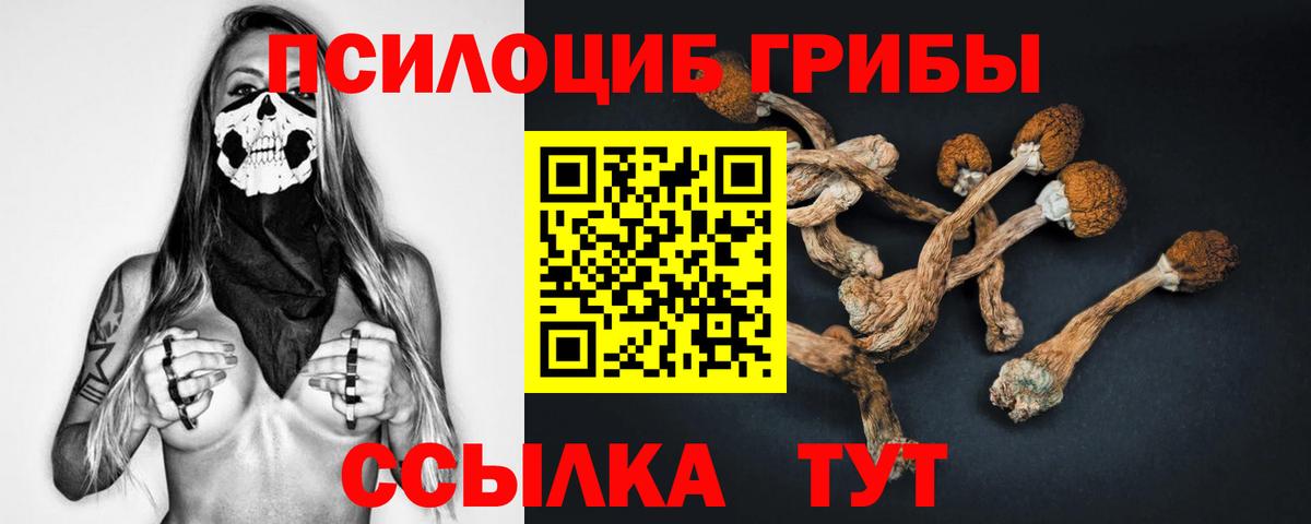 Галлюциногенные грибы Magic Shrooms Партизанск